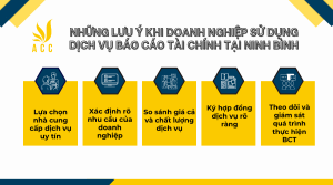 Dịch vụ báo cáo tài chính tại Ninh Bình