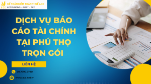 Dịch vụ báo cáo tài chính tại Phú Thọ-2