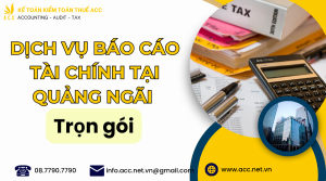 Dịch vụ báo cáo tài chính tại Quảng Ngãi (2)