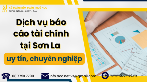 Dịch vụ báo cáo tài chính tại Sơn La