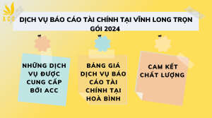 Dịch vụ báo cáo tài chính tại Vĩnh Long 