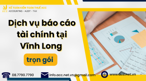 Dịch vụ báo cáo tài chính tại Vĩnh Long (2)