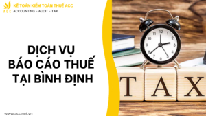 Dịch vụ báo cáo thuế tại Bình Định