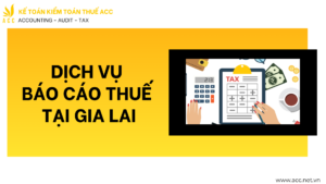 Dịch vụ báo cáo thuế tại Gia Lai