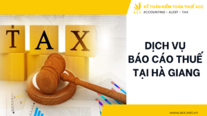 Dịch vụ báo cáo thuế tại Hà Giang