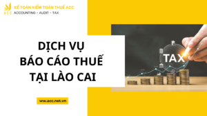 Dịch vụ báo cáo thuế tại Lào Cai