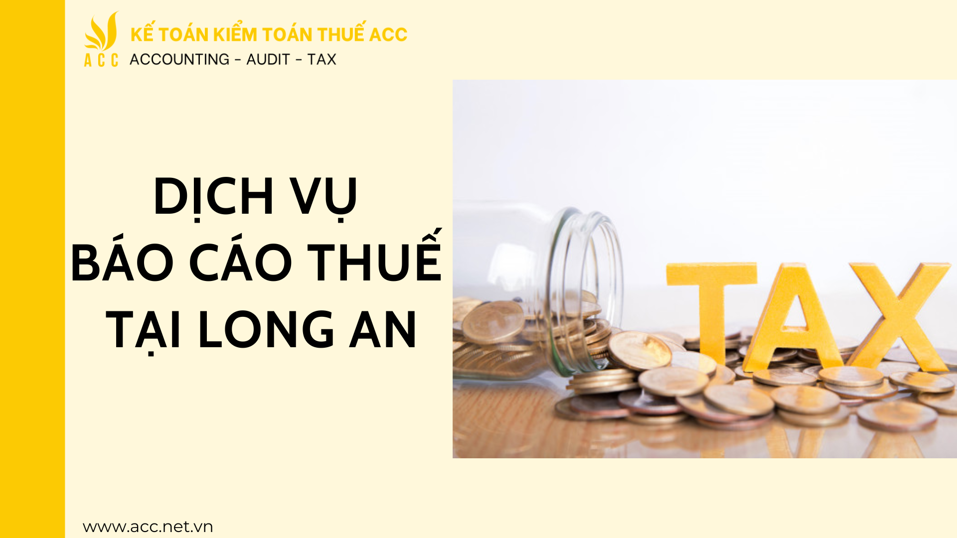 Dịch vụ báo cáo thuế tại Long An