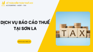 Dịch vụ báo cáo thuế tại Sơn La