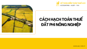 Cách hạch toán thuế đất phi nông nghiệp