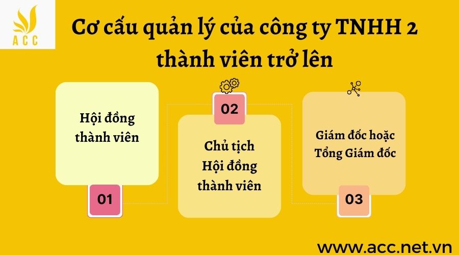 Cơ cấu quản lý của công ty TNHH 2 thành viên trở lên