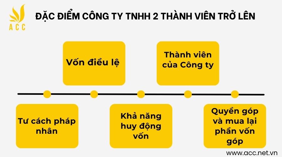 Đặc điểm công ty TNHH 2 thành viên trở lên