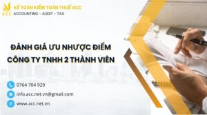 Đánh giá ưu nhược điểm công ty TNHH 2 thành viên