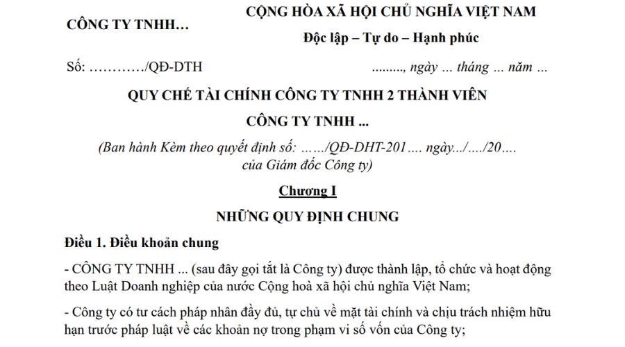 Quy chế tài chính công ty TNHH 2 thành viên