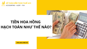 Tiền hoa hồng hạch toán như thế nào