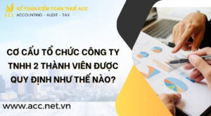 Cơ cấu tổ chức công ty TNHH 2 thành viên được quy định như thế nào?