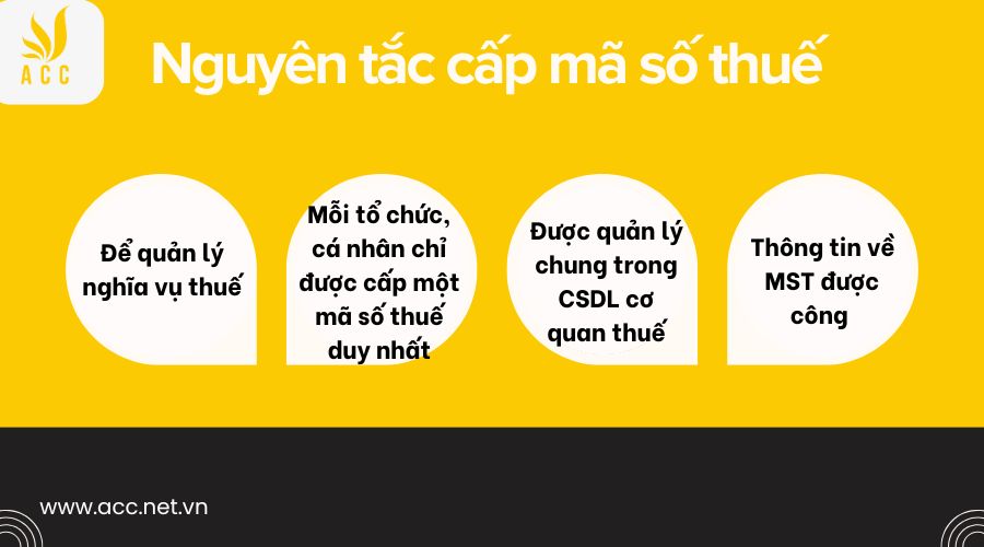 Nguyên tắc cấp mã số thuế