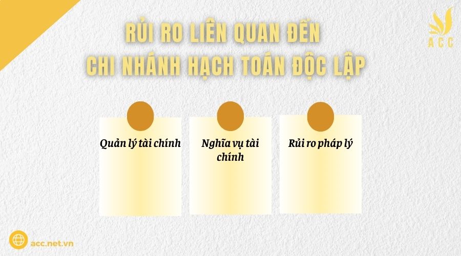 Rủi ro liên quan đến chi nhánh hạch toán độc lập