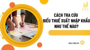 Cách tra cứu biểu thuế xuất nhập khẩu như thế nào