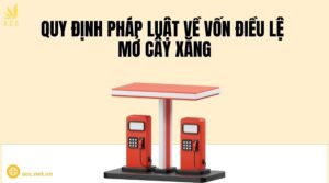 Quy định pháp luật về vốn điều lệ mở cây xăng