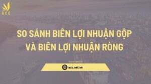 So sánh biên lợi nhuận gộp và biên lợi nhuận ròng