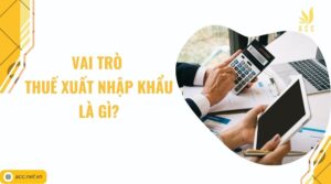 Vai trò thuế xuất nhập khẩu là gì