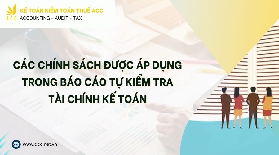 Báo cáo tự kiểm tra tài chính kế toán chi tiết