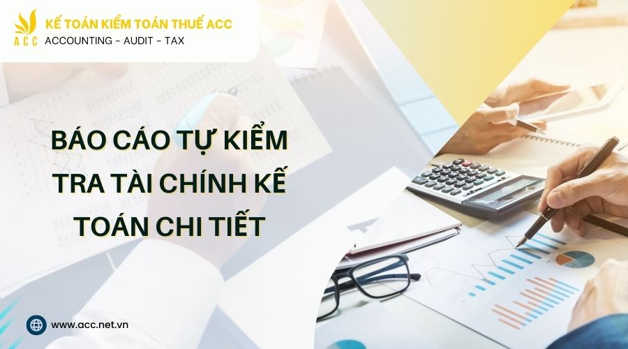 Báo cáo tự kiểm tra tài chính kế toán chi tiết