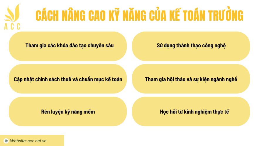 Cách nâng cao kỹ năng của kế toán trưởng