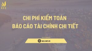 Chi phí kiểm toán báo cáo tài chính chi tiết