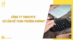 Công ty tnhh mtv có cần kế toán trưởng không