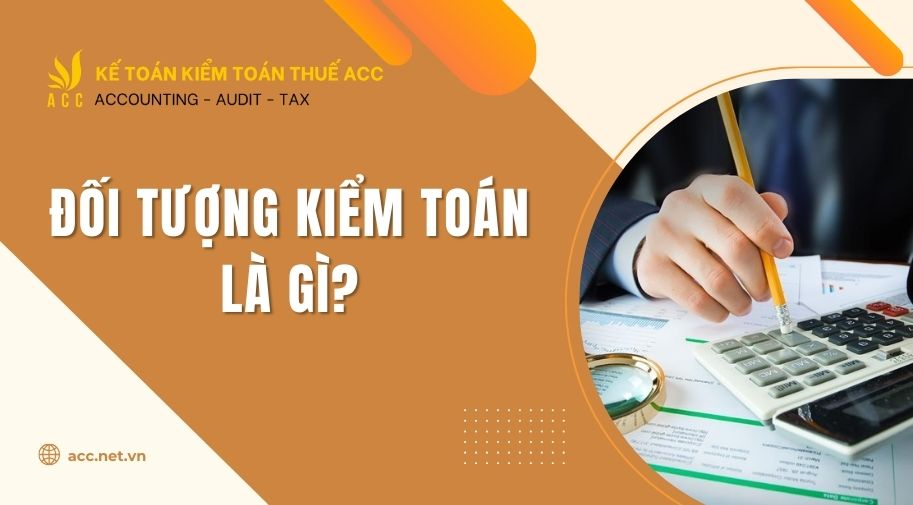 Đối tượng kiểm toán là gì?