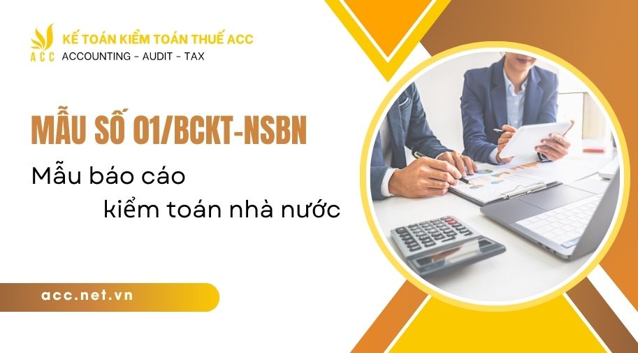 mẫu số 01/BCKT-NSBN