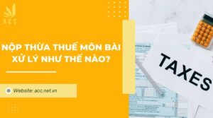 Nộp thừa thuế môn bài xử lý như thế nào