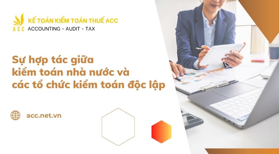 kiểm toán độc lập và kiểm toán nhà nước