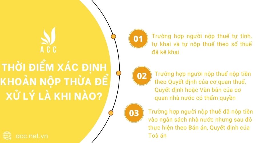 Thời điểm xác định khoản nộp thừa để xử lý là khi nào