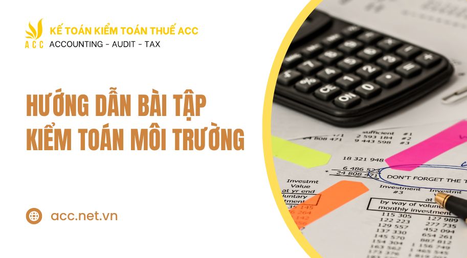 bài tập kiểm toán môi trường