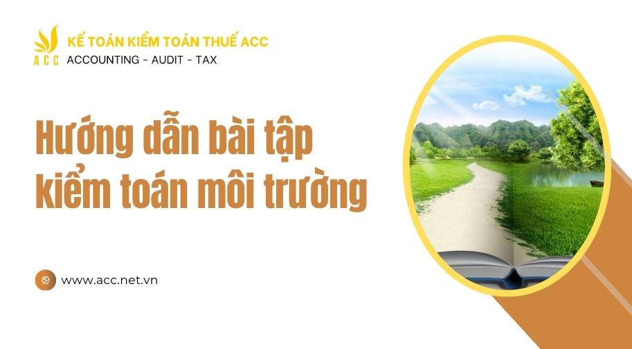 bài tập kiểm toán môi trường