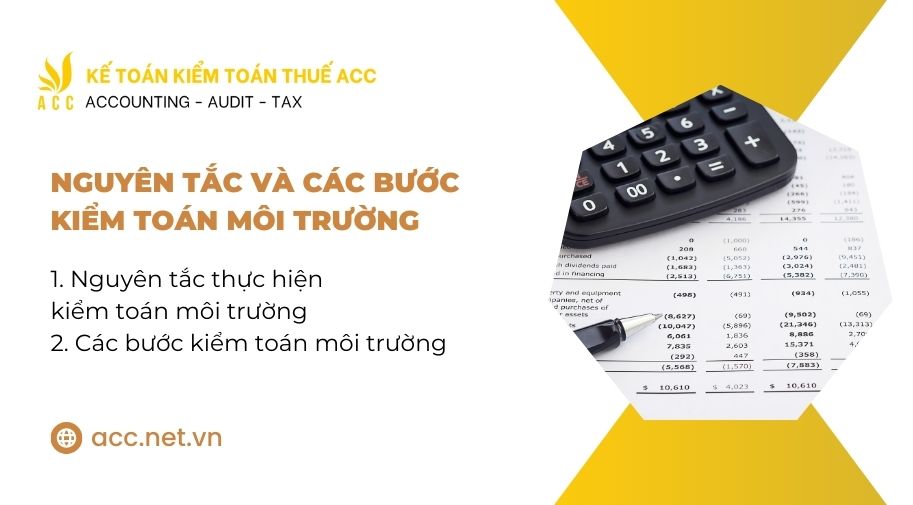 bài tập kiểm toán môi trường