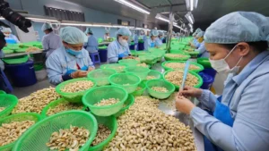 Doanh nghiệp Việt chủ động đề xuất thêm giải pháp khi Mỹ tạm hoãn áp thuế