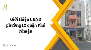 Giới thiệu UBND phường 12 quận Phú Nhuận.jpg