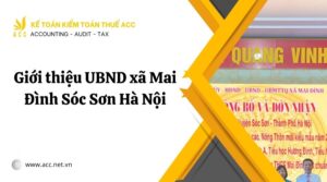 Giới thiệu UBND xã Mai Đình Sóc Sơn Hà Nội.jpg