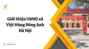 Giới thiệu UBND xã Việt Hùng Đông Anh Hà Nội.jpg