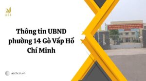 Thông tin UBND phường 14 Gò Vấp Hồ Chí Minh.jpg